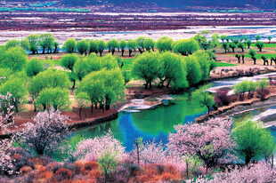 春日河畔美景