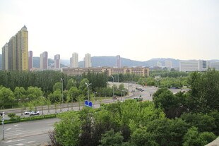 城市绿树环绕的开阔景观