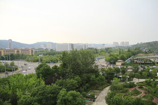 城郊绿意景观