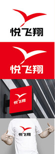 飞行标识设计