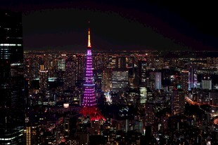 东京塔夜景璀璨夺目