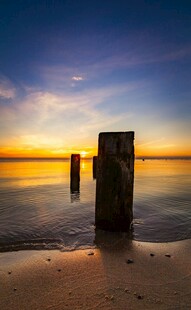 海边日落时的木桩景致