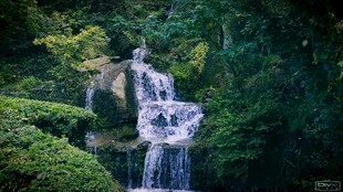 山林间的灵动瀑布景观