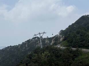泰山