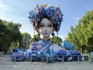 大明湖夏雨荷