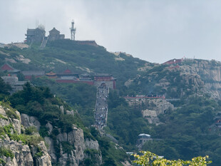 泰山