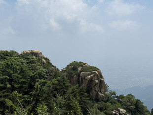 泰山