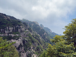 泰山