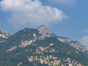 泰山