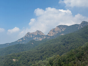 泰山