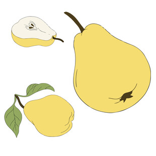 黄梨插画