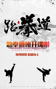 跆拳道海报