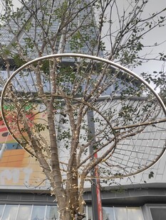 树灯装饰