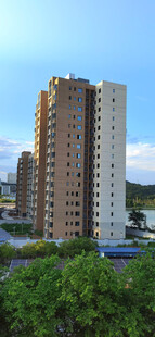 城市高楼与绿植景观