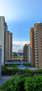 城市绿植环绕的高楼景观