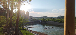 河畔晨光美景