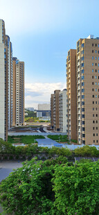 城市高楼与绿植景观