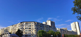 城市建筑群蓝天绿树景观