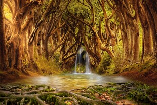 自然风景