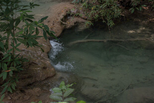 山间清澈小溪潺潺流水