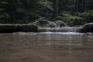 林间溪流 潺潺流水之景