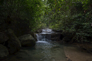 山间溪流 绿意环绕的美景
