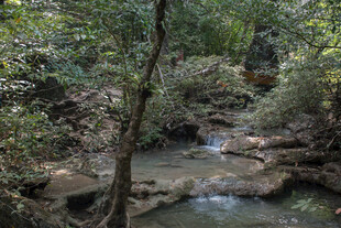 山间溪流 自然静谧之景
