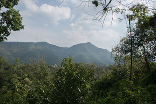 山林间的秀丽山峦景色
