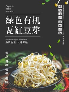 绿色有机瓦缸豆芽