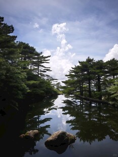 宁静湖畔松林倒影美景