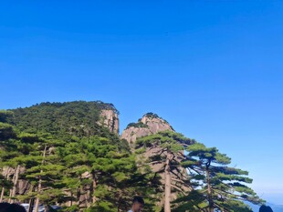 黄山奇峰与苍松美景