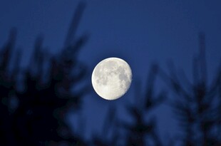 夜空中的皎洁明月