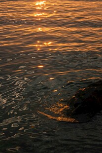 夕阳下波光粼粼的海面