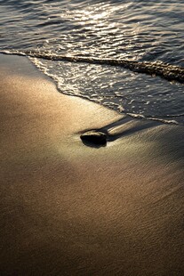 沙滩上的海浪与光影