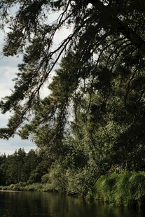 湖畔绿树成荫的自然景致