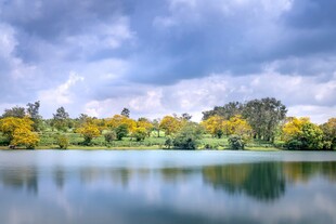 湖畔秋景