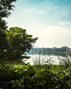 湖畔绿植环绕的美丽景致