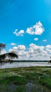海边蓝天草地风景图