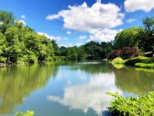 湖畔绿意盎然的自然美景