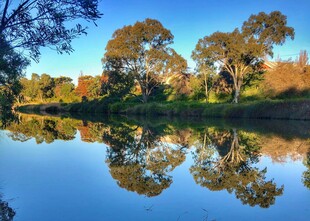 湖畔秋景倒影如画