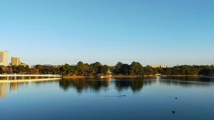 湖畔城市风光倒影美景