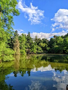 湖畔绿树蓝天美景