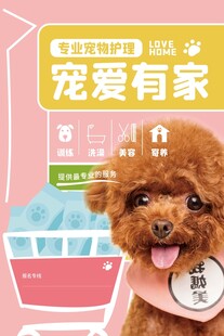 可爱泰迪展示宠物沐浴产品