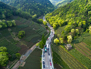 山间蜿蜒公路绿意盎然