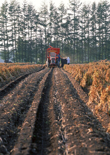 田野中拖拉机在开垦土地