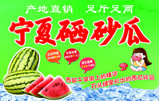 宁夏硒砂瓜