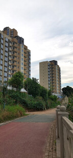 城市中健康步道与路旁的高层住宅