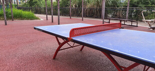 户外蓝色乒乓球桌