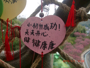 心形祈福牌祈愿美好未来