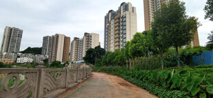 城郊小路旁的高层住宅区